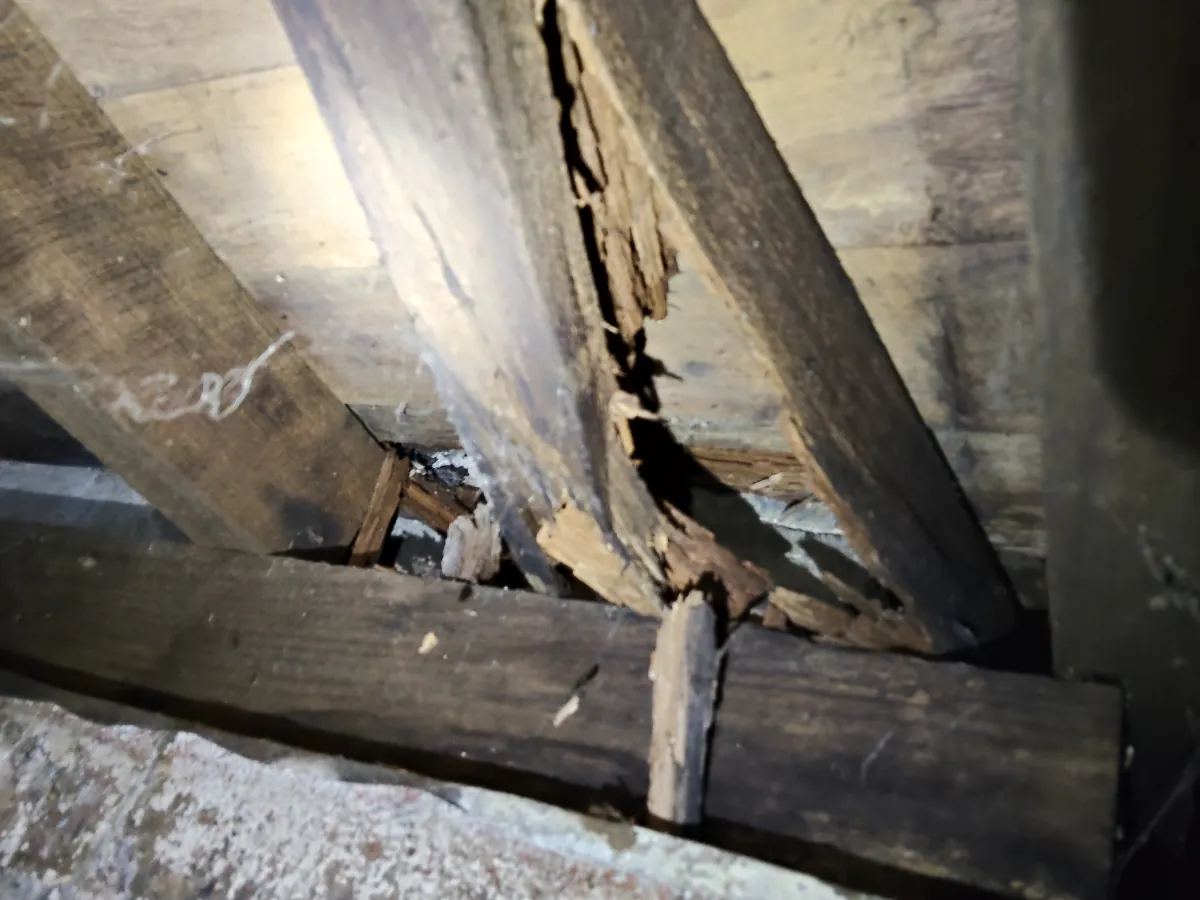 Deteriorated timber framing beneath the wet area of the North Albury home