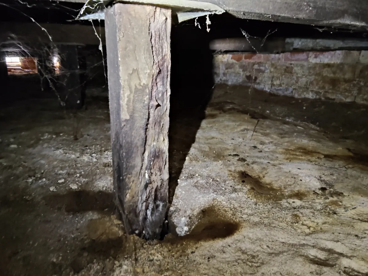 Deteriorated timber stump beneath a North Albury home